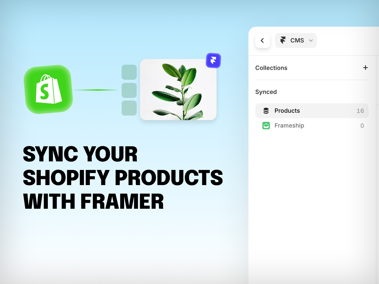 Screenshot 4 for Frameship, a Framer Marketplace plugin by Insert Frame.