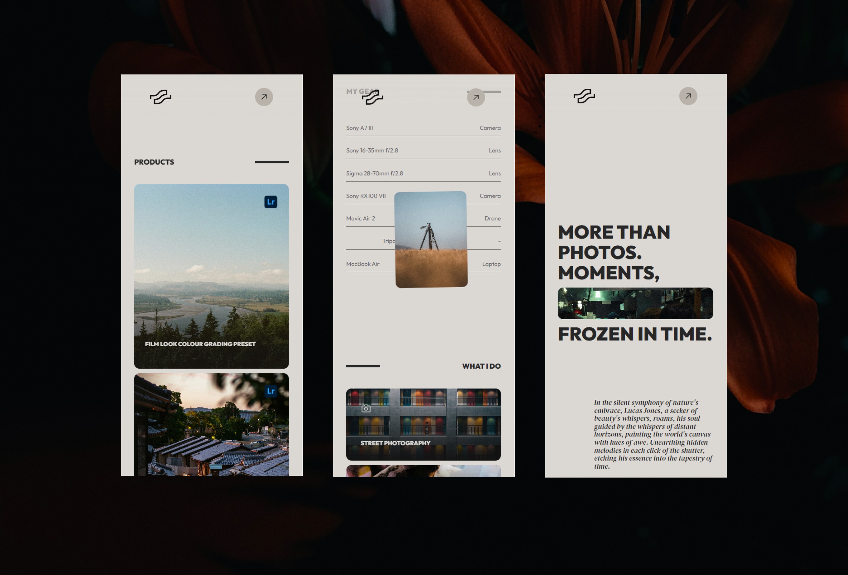 Screenshot 4 for Madrid, a Framer Marketplace template by Vibrant Digital.