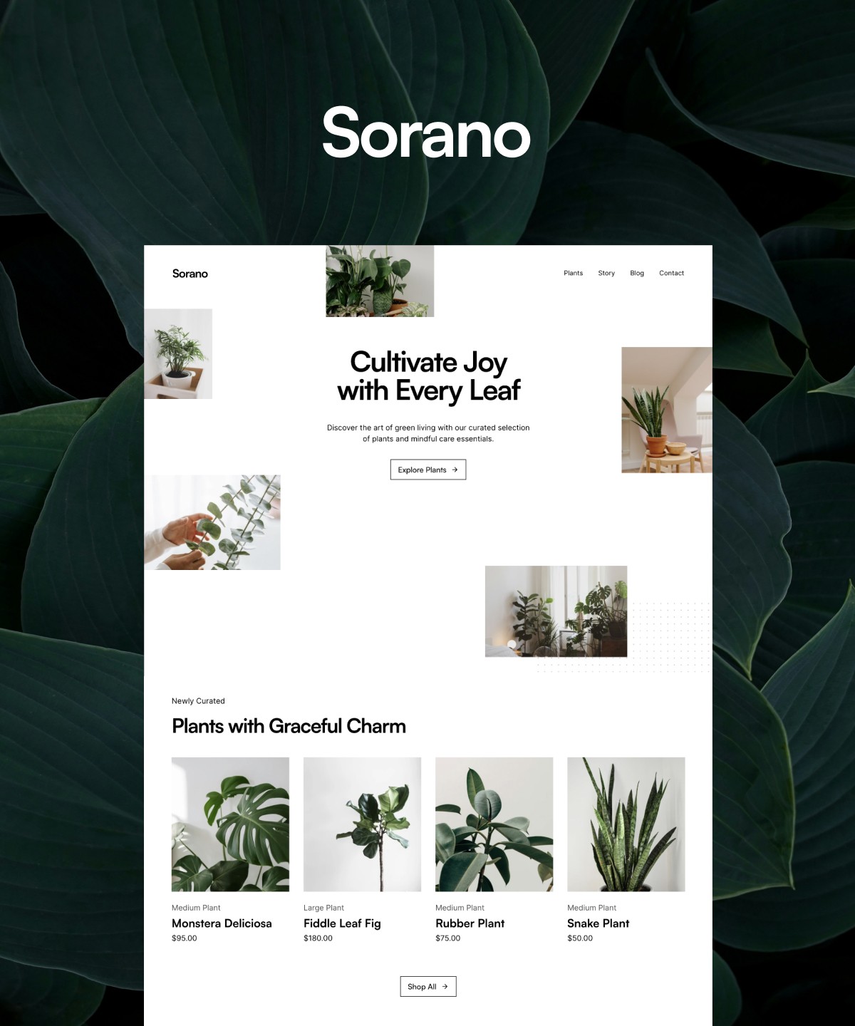 Screenshot 1 for Sorano, a Framer Marketplace template by Adam Kuzma.